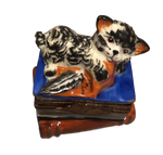 Whiskered Tales: Hand-Painted Limoges Box with Black and White Cat on Books
