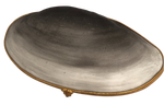 Ocean's Beauty: Hand-Painted Limoges Box - Black to Grey Gradient Clam Shell