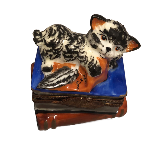 Whiskered Tales: Hand-Painted Limoges Box with Black and White Cat on Books